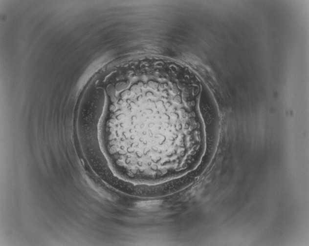 X0000069390051200605192224