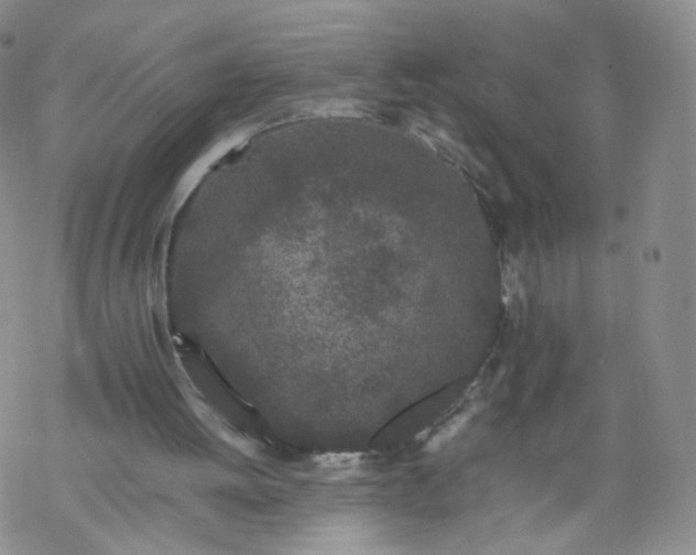 X0000069390052200605192224