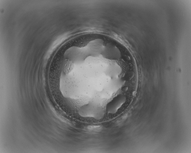 X0000069390055200605192224