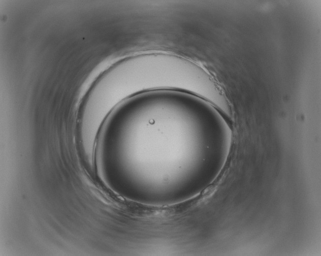 X0000069390056200605192224