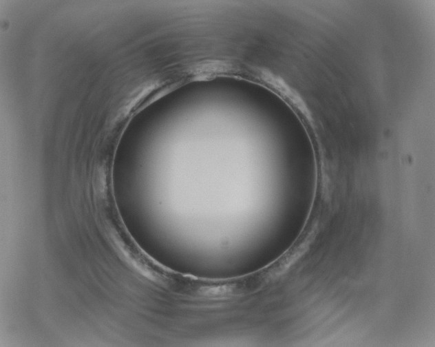 X0000069390057200605192224