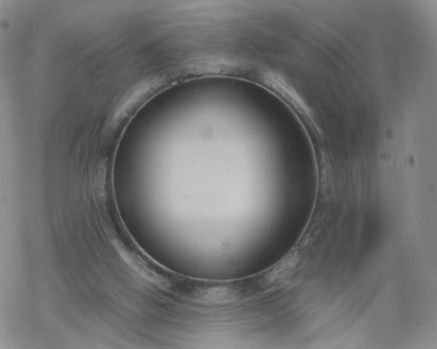 X0000069390058200605192224