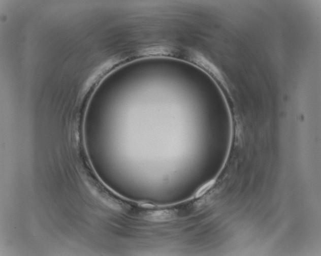 X0000069390059200605192224