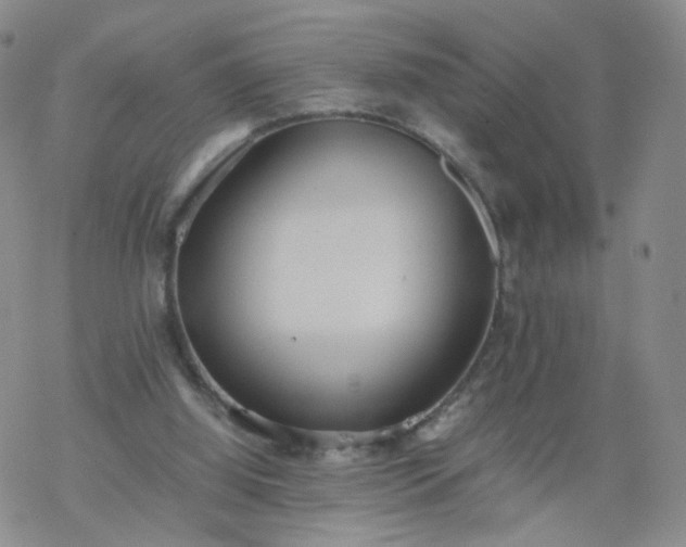 X0000069390060200605192224