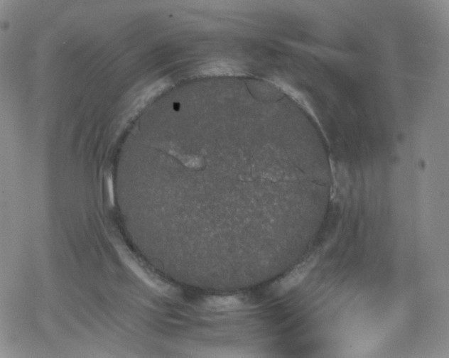 X0000069390061200605192224