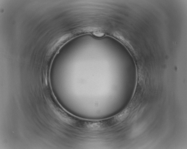 X0000069390062200605192224