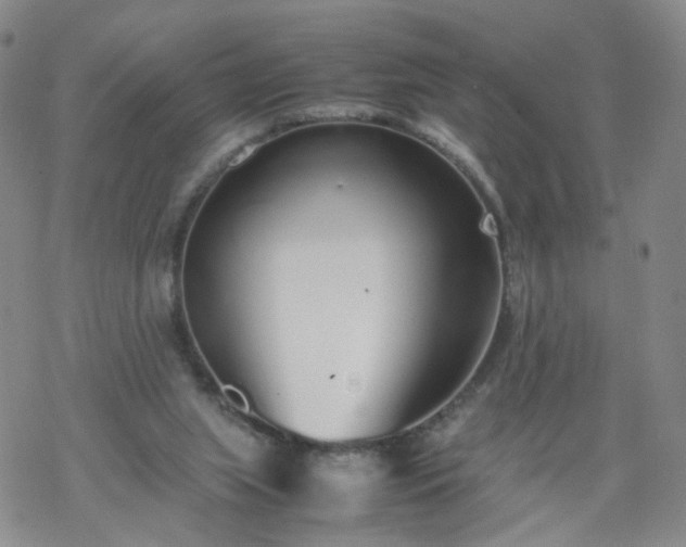 X0000069390063200605192224