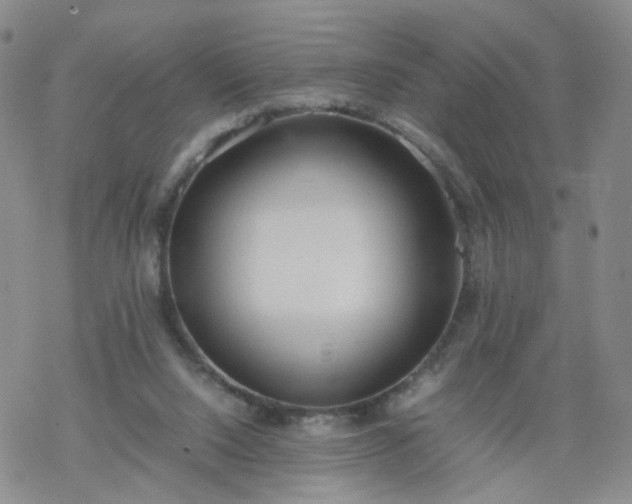 X0000069390064200605192224