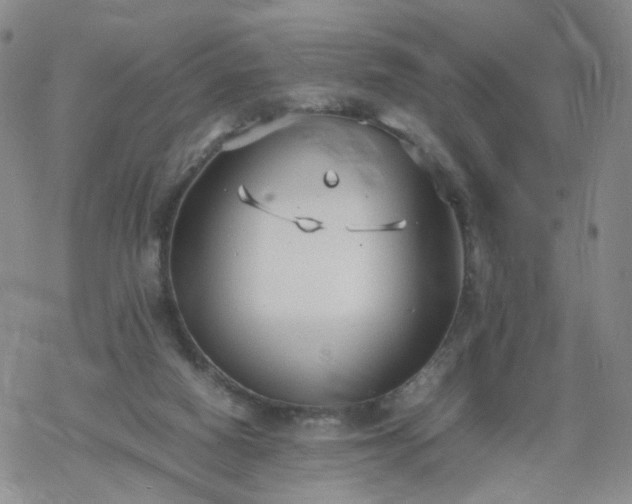 X0000069390066200605192224