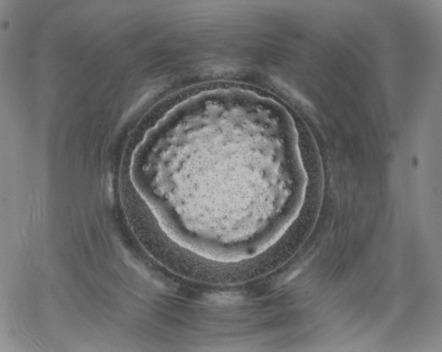 X0000069390067200605192224