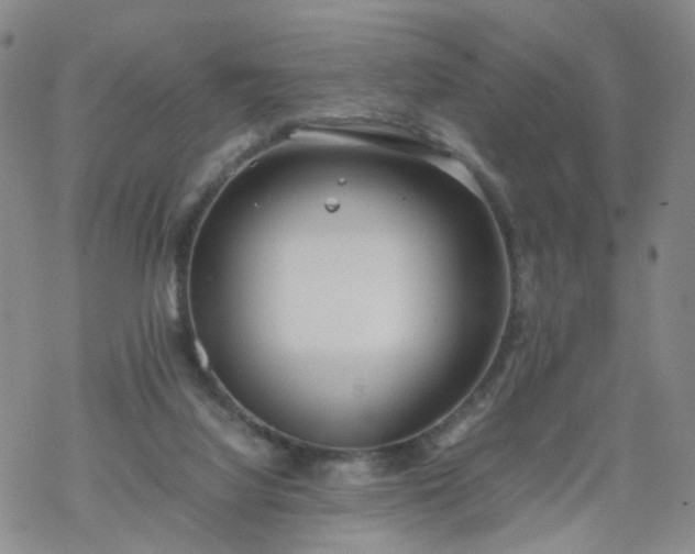 X0000069390068200605192224