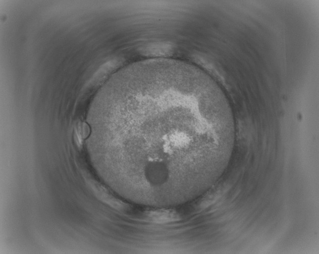 X0000069390069200605192224