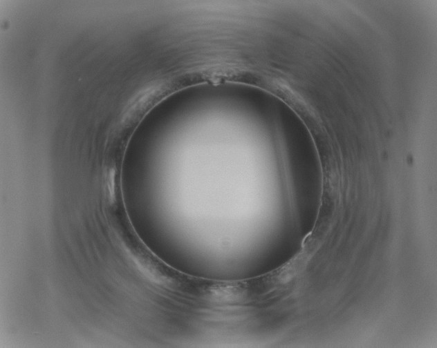 X0000069390070200605192224