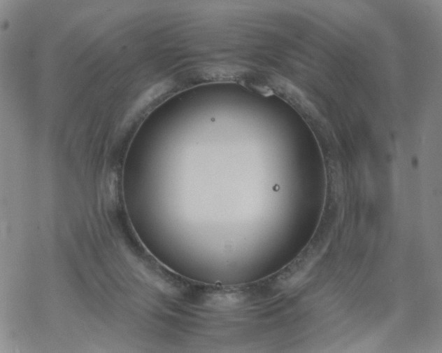 X0000069390071200605192224