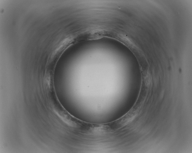 X0000069390072200605192224