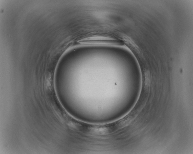 X0000069390073200605192224