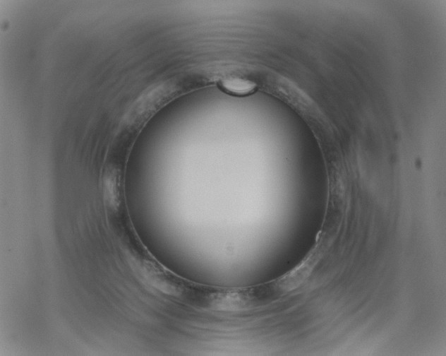 X0000069390074200605192224