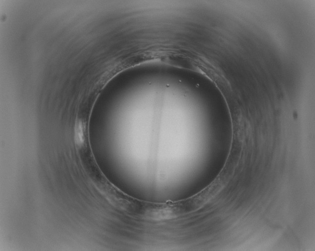 X0000069390075200605192224