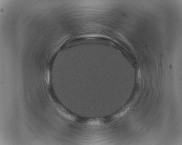 X0000069390076200605192224