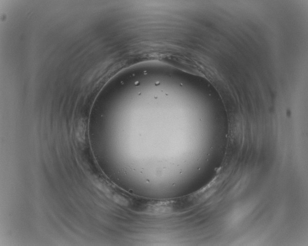 X0000069390078200605192224