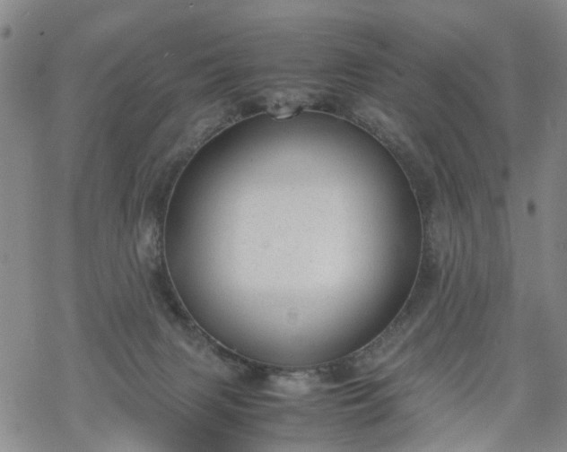 X0000069390079200605192224