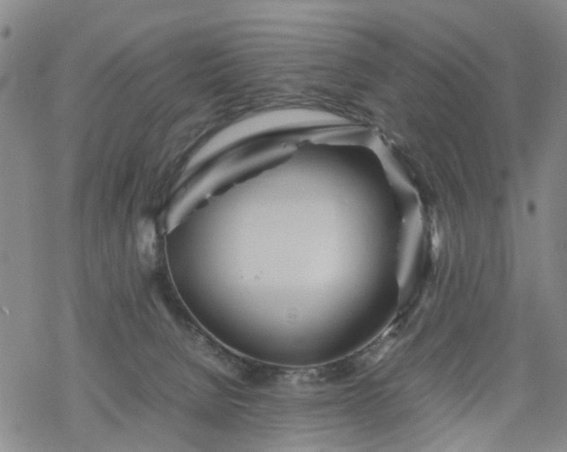 X0000069390080200605192224