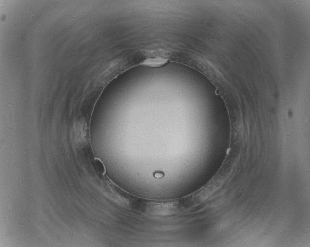 X0000069390081200605192224