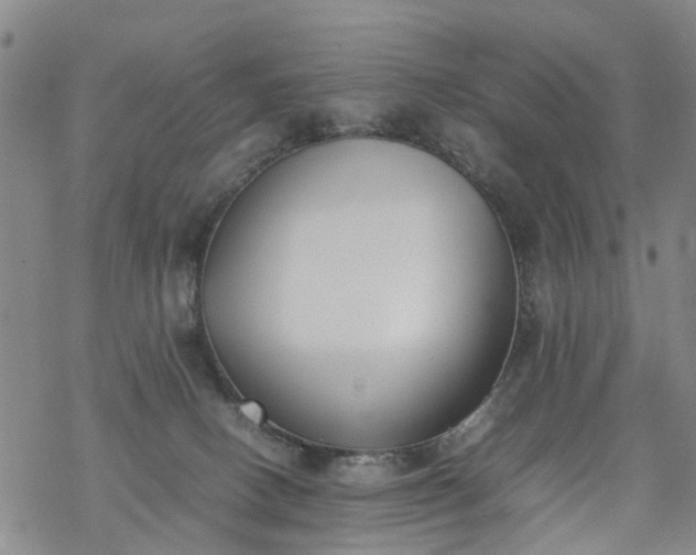 X0000069390082200605192224