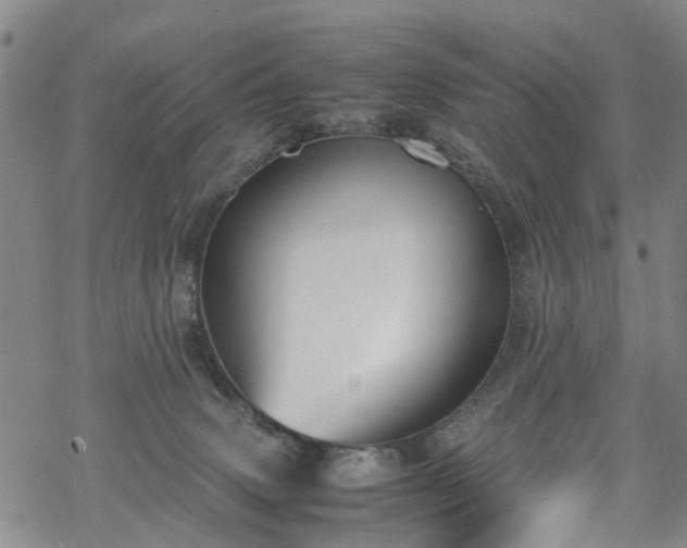 X0000069390083200605192224