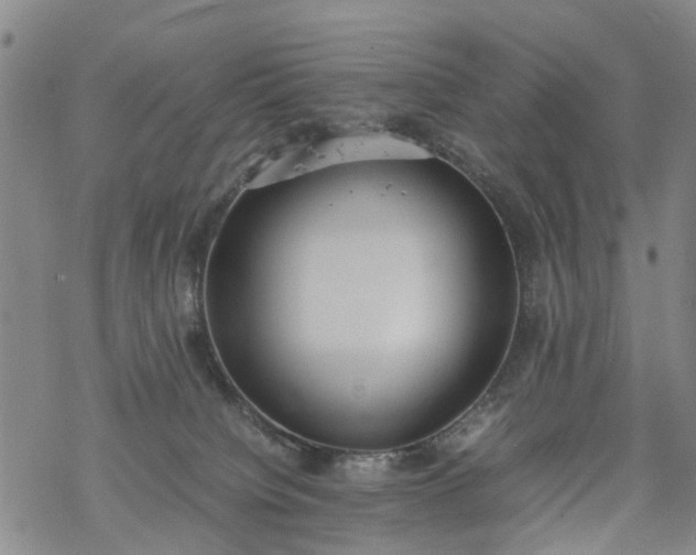 X0000069390084200605192224