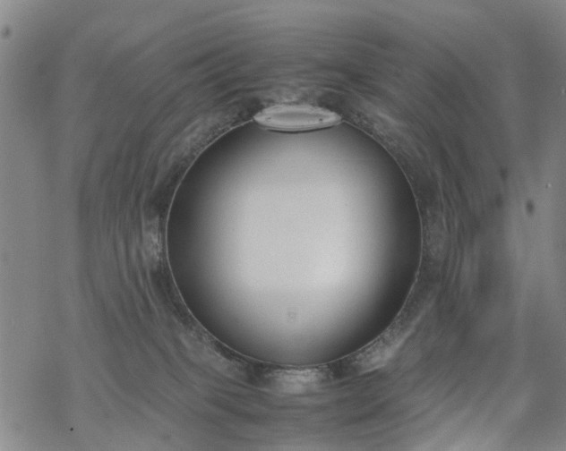 X0000069390085200605192224