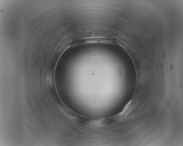 X0000069390086200605192224