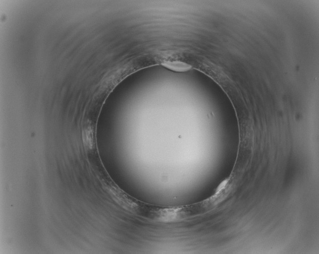 X0000069390090200605192224