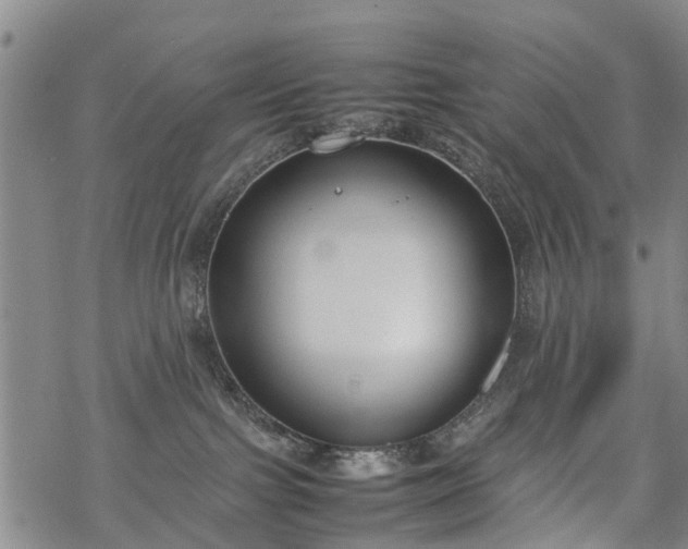 X0000069390091200605192225