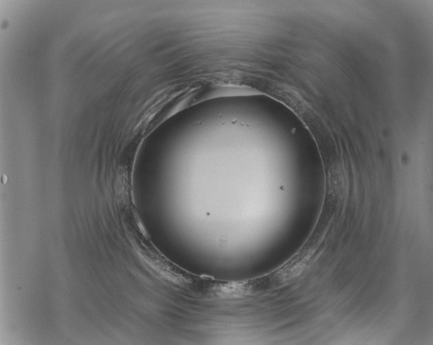 X0000069390092200605192225