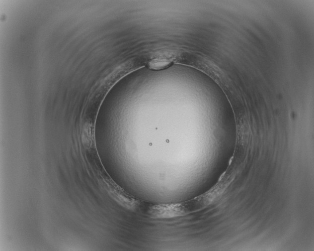 X0000069390093200605192225