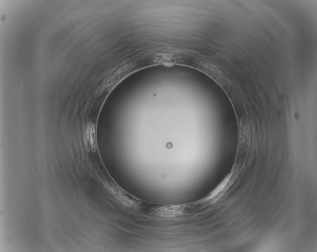 X0000069390094200605192225