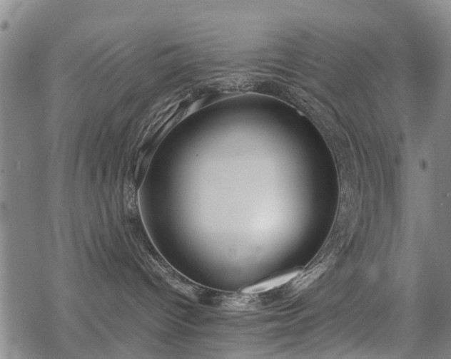 X0000069390096200605192225