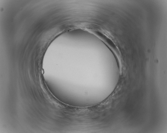 X0000069390097200605192224