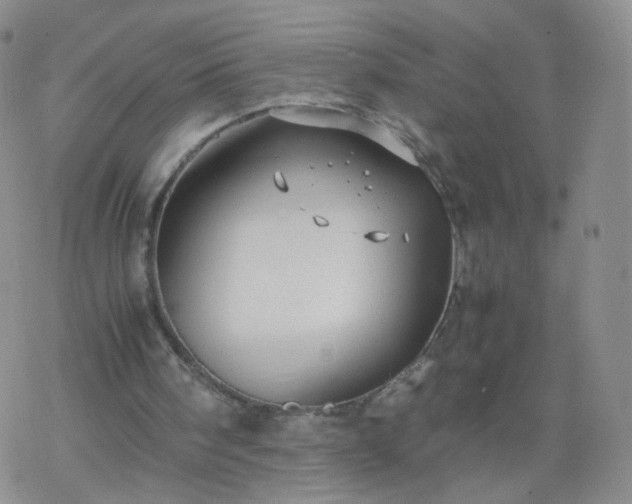 X0000069390098200605192224