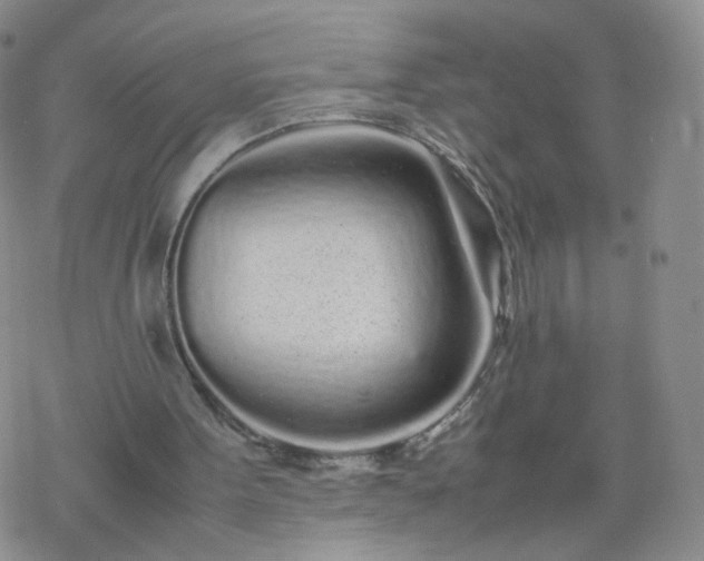 X0000069390099200605192224