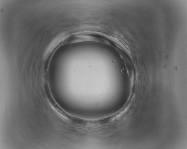 X0000069390101200605192224