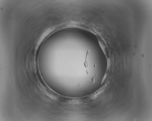 X0000069390102200605192224