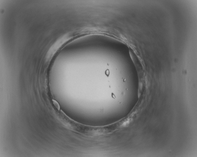 X0000069390103200605192224