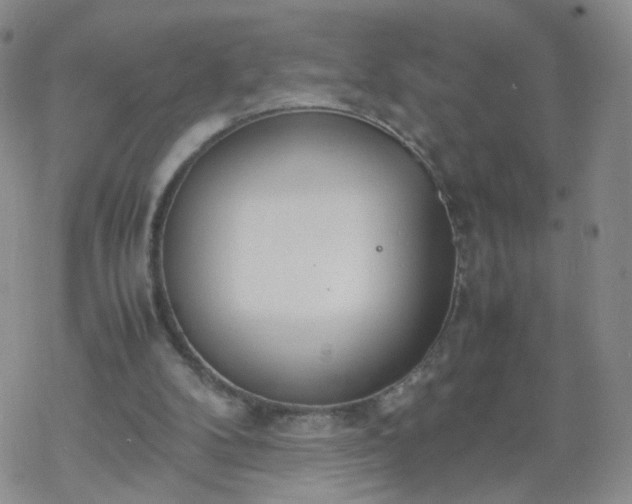 X0000069390104200605192224