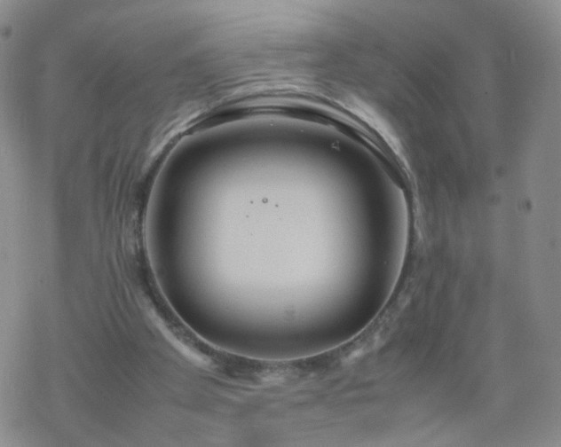 X0000069390105200605192224