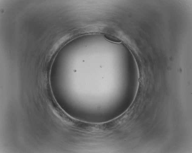 X0000069390107200605192224