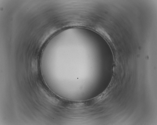 X0000069390108200605192224