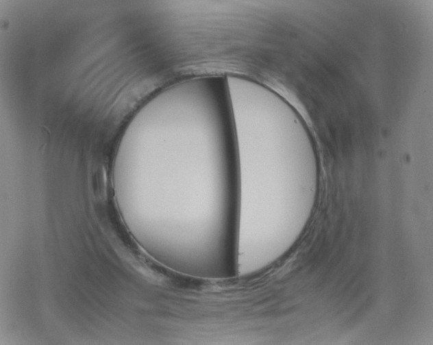 X0000069390109200605192224