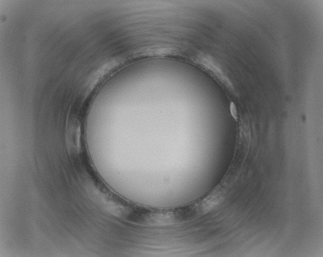 X0000069390110200605192224